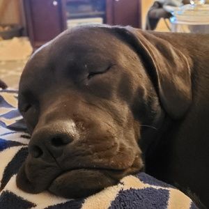 Meet your Posher, Theresa